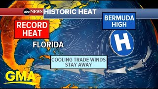 Marine heat waves and its effects on the environment