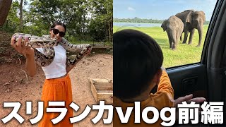 【vlog】スリランカ旅行に行ってきたよ！【前編】