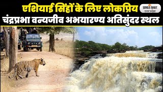 UP Vindhyachal Parvat की गोद में स्थित ChandraPrabha Wildlife Sanctuary अतिसुंदर स्थल