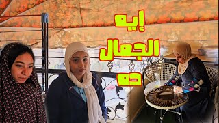 مكنتش متخيله جمالهم ولاحلاوتهم غير لما رتبتهم صح👍