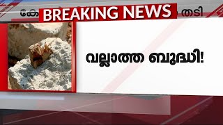 'വിദേശ രാജ്യങ്ങളിൽ പോയി കണ്ടുപിടിച്ച മാത‍ൃകയാണോ എന്നറിയില്ല'; കോൺക്രീറ്റ് അരത്തൂണിൽ തടി