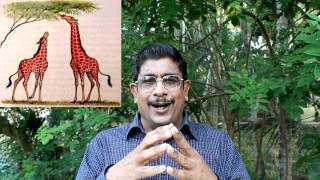 എന്താണ് പരിണാമം(EVOLUTION) ?- Mohamed khan part 1