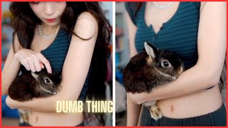 Emiru shits on her Rabbit
