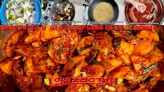 (금동이할매)김치가 갑자기 떨어졌을 때에 간단히 쉽게 만들어서 금방 맛있게 먹을 수 있는 알배추무우김치!!! 정말 맛이 환상적이에요!!!