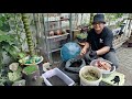 Cara Mudah Buat Baja Kompos Daripada Sisa Dapur & Sisa Kebun - Part 1