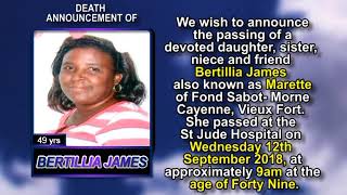 Bertillia James short
