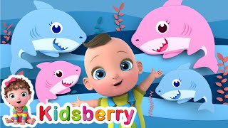 Baby Shark | Kidsberry Nursery Rhymes & Baby Song