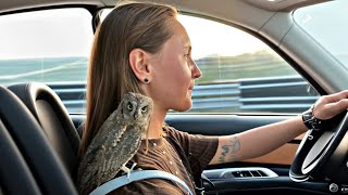 Girl Rescue Tiny Owl After Hurricane. You Won’t Stop Watching What Happened Next