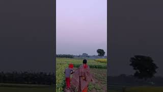 আমাদের গ্রামের মাঠ,৫বছর পর গেলাম #shorts#village