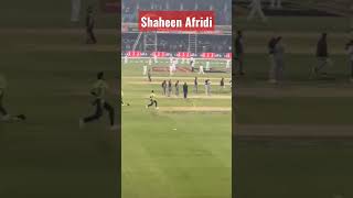 Shaheen Afridi Bowling || Cricket || #shaheenafridi #shaheenshahafridi #bowling
