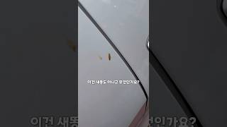 매일 세차해도 더러워지는 이유는