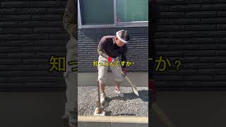 職人さんスーからサー！#shorts #short #株式会社サイコー#職人さん #みなさんのおかげです