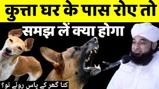 कुत्ता घर के पास रोए तो क्या होता है/ क्या कुत्ता के रोने से मौत आती है/kutta ghar ke pas roye to