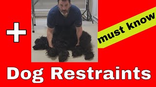 Dog Restraints You Should Know