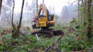 Komatsu feller buncher