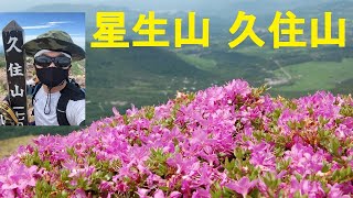 ミヤマキリシマ咲く　くじゅう連山星生山・久住山　2021年6月20日