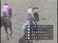 サクラローレル 1995年 第109回目黒記念 gii 優勝馬：ハギノリアルキング