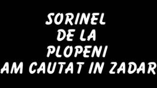 SORINEL DE LA PLOPENI   AM CAUTAT IN ZADAR