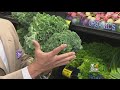 Fresh Grocer: Kale