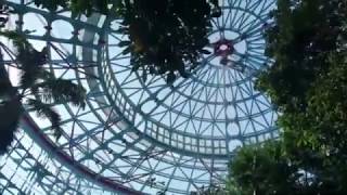 [亂剪VLOG] 台中去哪玩 國立自然科學博物館植物園National Museum Of Natural Science