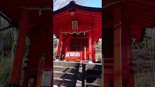 箱根神社から九頭龍神社本宮まで歩いてみた #散歩日和 #神社 #箱根 #辰年 #龍 #箱根神社 #九頭龍神社