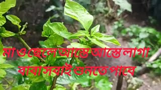 মা ও ছেলে আস্তে আস্তে লাগা বাবা সবাই শুনতে পাবে