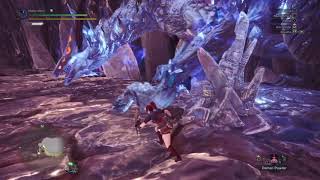 MHW - Xeno'Jiiva 4'48 (TA Rules SnS)