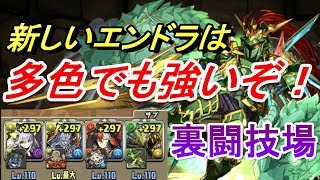 【パズドラ】エンシェントドラゴンナイト -REX-で裏闘技場！多色でも強い！