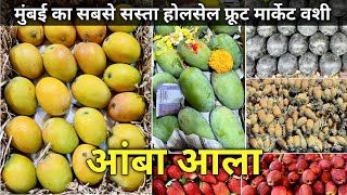 Mumbai Vashi Fruit Market | Fruit Market Vashi | Vashi Apmc Market  Wholesale Fruit Market In Mumbai