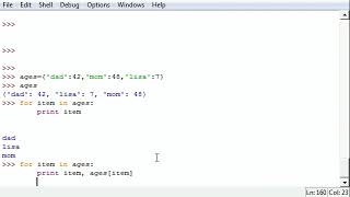Python Programming Tutorial 26 Infinite Loops and Break