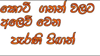 කොටි ගනන් වලට අලෙවි වෙන පැරණි  පිඟන්