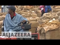 Zimbabwean tobacco farmers suffer from drought