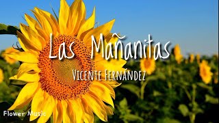 Las Mañanitas - Vicente Fernández (Letra)