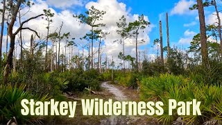 Early Morning at Starkey Wilderness Park