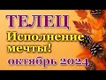 ТЕЛЕЦ - ТАРО ПРОГНОЗ на ОКТЯБРЬ 2024 - ПРОГНОЗ РАСКЛАД ТАРО - ГОРОСКОП ОНЛАЙН ГАДАНИЕ