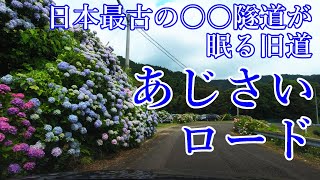 【紫陽花の咲く旧国道】内妻海岸あじさいロード