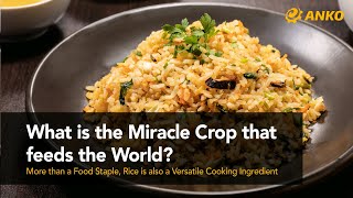 What Is The Miracle Crop That Feeds The World