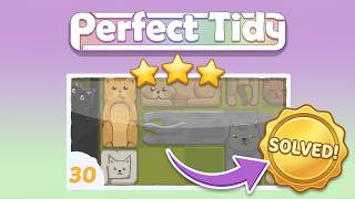 Perfect Tidy Level 30 - 100% Full Walkthrough! 🧩 (Step-by-Step Solution)