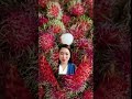 Satisfying Rambutan #shorts #asmr #satisfying #fresh #rambutan #trending #memes #viral