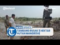 Rusak 5 Hektar Hutan Magrove, Tambang Timah Ilegal di Bangka Dirazia Polisi