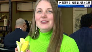 9ヵ国の総領事ら　梅酒の漬け込み体験　和歌山県海南市