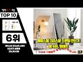 전신거울 가격이 착한 소개해드려요 추천 top10