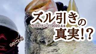 【今日のナンコ！2020.4.4】ズル引きの真実！？【琵琶湖バス釣り】