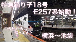 【E257系】特急踊り子になって帰ってきた！さっそく改造されたE257系に乗ってみた！\