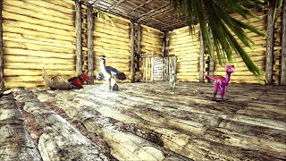 On tame plein de petit dinos Ark ep 44