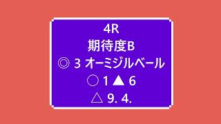 佐賀競馬全レース予想　２月５日　ウマライフ