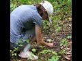 no gas stove on you to make coffee outdoor a tin can will do nature coffee hiking forest