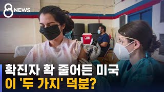 확진자 확 줄어든 미국…마스크 · 백신 덕분? / SBS