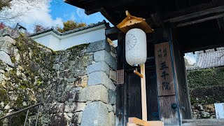 京都交通京都散步京都大原車站步行至大原三千院大原女小徑路況芹生楓葉紅葉賞楓KYOTO WALK