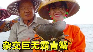 阿渔妹和爸妈下海捕鱼，第一网就抓到巨无霸螃蟹，赶紧回家煲粥尝尝！【阿渔妹】